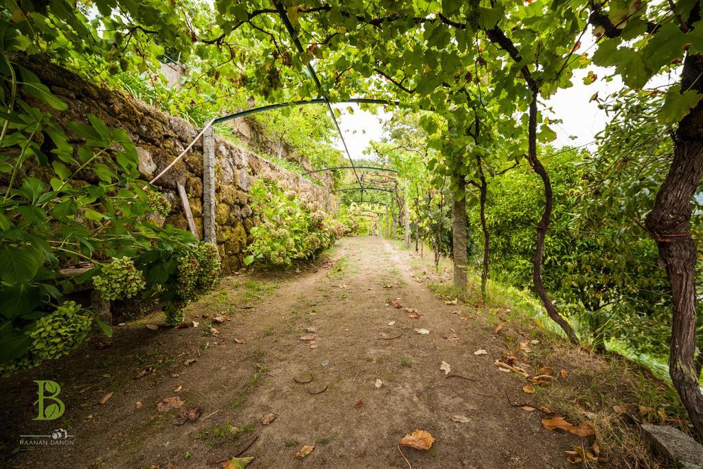 Quinta Da Bouca - Agroturismo Pacos de Gaiolo الغرفة الصورة
